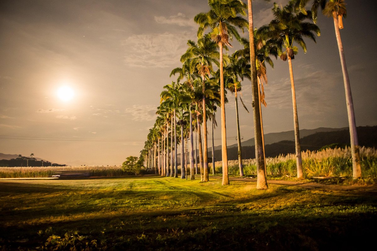 Hacienda Santa Teresa